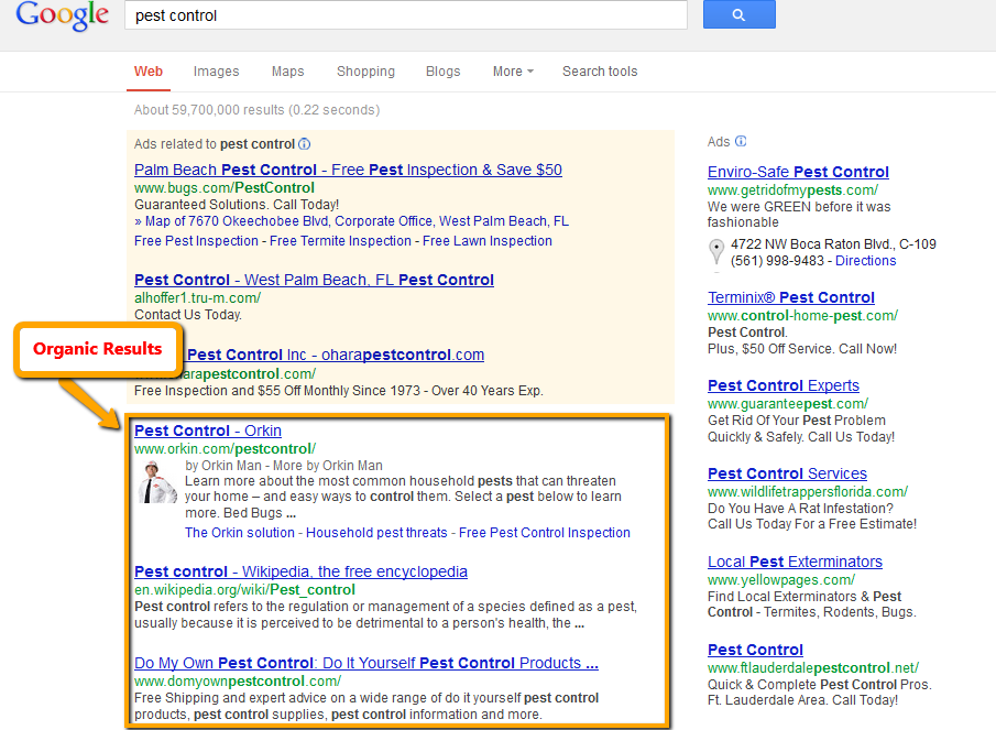 Organic Search Results on Google