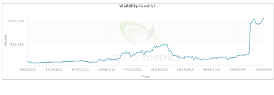 Hafiz Muhammad Ali-SEO Google Algorithm Panda Penalty