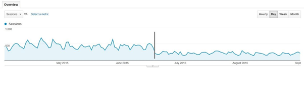 Hafiz Muhammad Ali-SEO Google Algorithm Panda Penalty