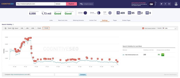 Hafiz Muhammad Ali-SEO Google Algorithm Penguin Penalty