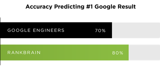 Hafiz Muhammad Ali-SEO Google Algorithm Rainbrain