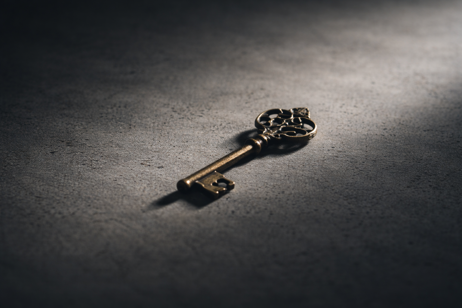 founders who rely too much on their own abilities and are ego-driven